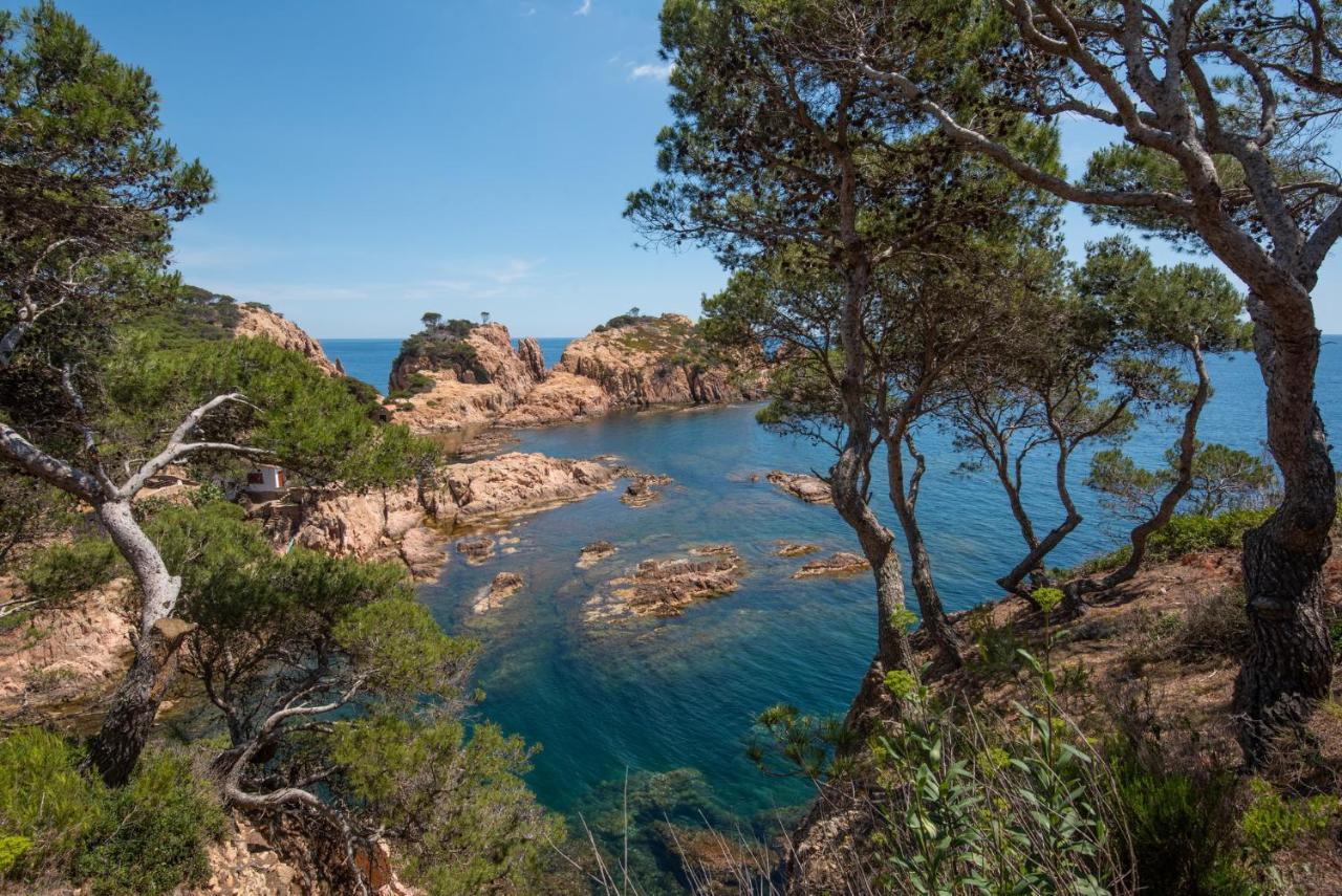Casa Cala Nostra - Tamariu Apartment Palafrugell Ngoại thất bức ảnh